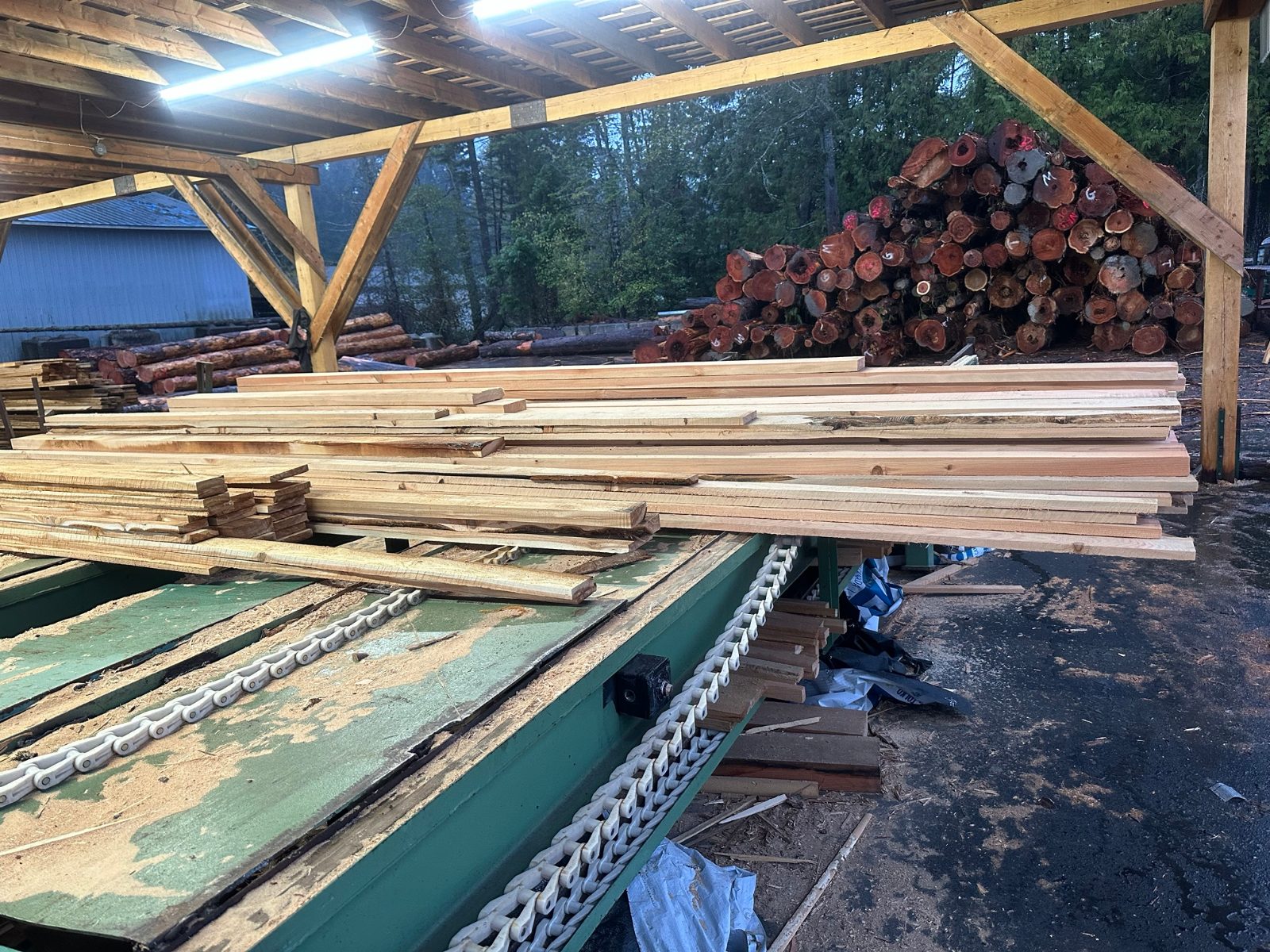 Sawmill outfeed deck with a pile of cedar logs behind